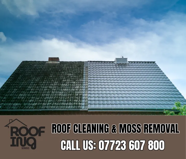 Roof cleaning and moss removal in Teignmouth