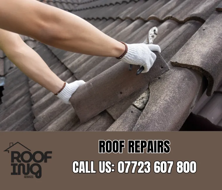 Professional roof repair services in Teignmouth